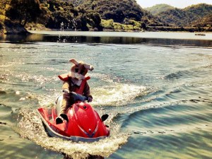 The Marina's Easter Egg Hunt. Taken from their Marina's facebook. 